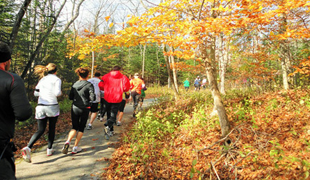 Runners on the wooded trails of Mackinac Island during the Great Turtle Trail Race